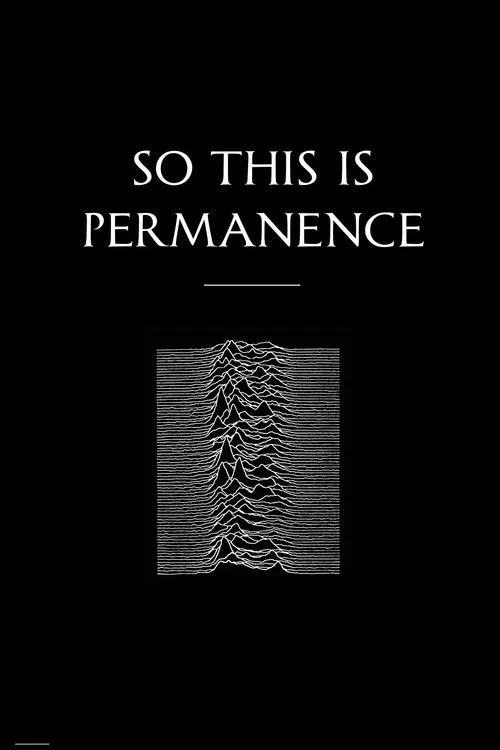 Peter Hook interpreta a Himself en Peter Hook & The Light: So This Is Permanent