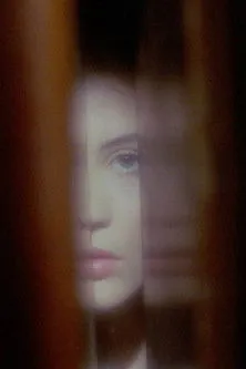 Póster de la película Phantasmagoria of the Interior