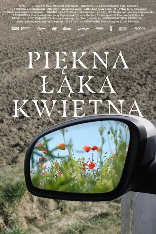 Aleksander Janiszewski interpreta a en Piękna łąka kwietna