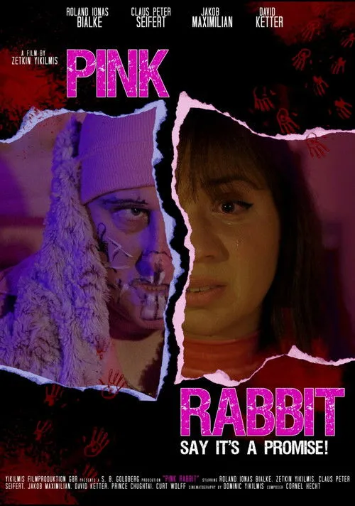Póster de Pink Rabbit
