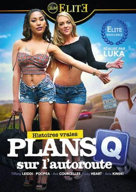 Póster de la película Plans Q sur l'autoroute