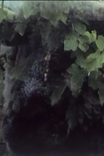 Raphaela Schoenherr interpreta a en Play 33