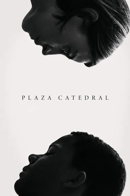 Póster de Plaza Catedral
