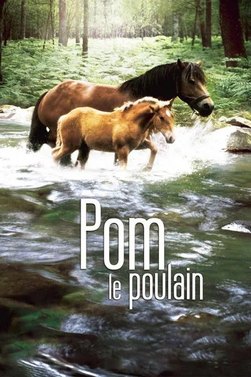 Póster de Pom, le poulain