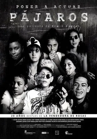 Póster de Poner a actuar pájaros
