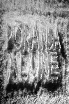 Eve Andre interpreta a  en Põrandaalune