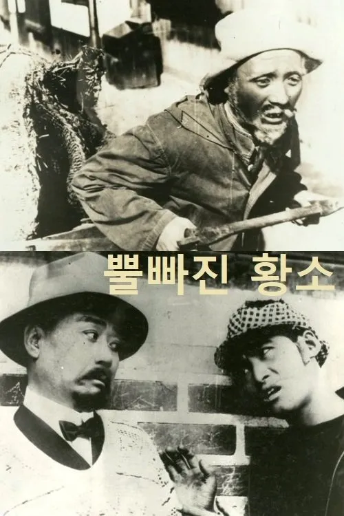 So-yeong Kim interpreta a en 뿔빠진 황소