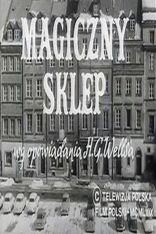 Krystyna Froelich interpreta a Mother en Prawdziwie magiczny sklep