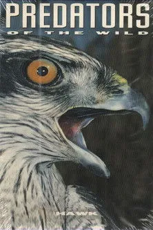 Póster de la película Predators of the Wild: Hawk