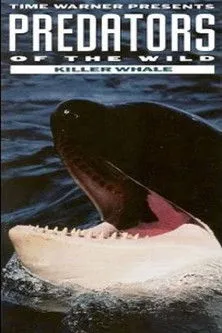 Póster de la película Predators of the Wild: Killer Whale