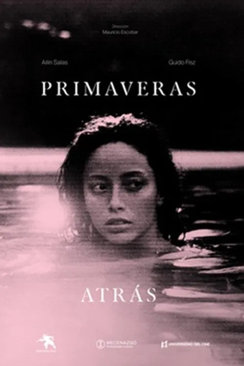 Póster de Primaveras atrás