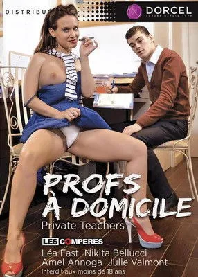 Póster de Profs à domicile