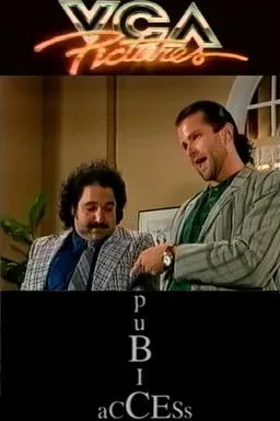 Póster de Pubic Access