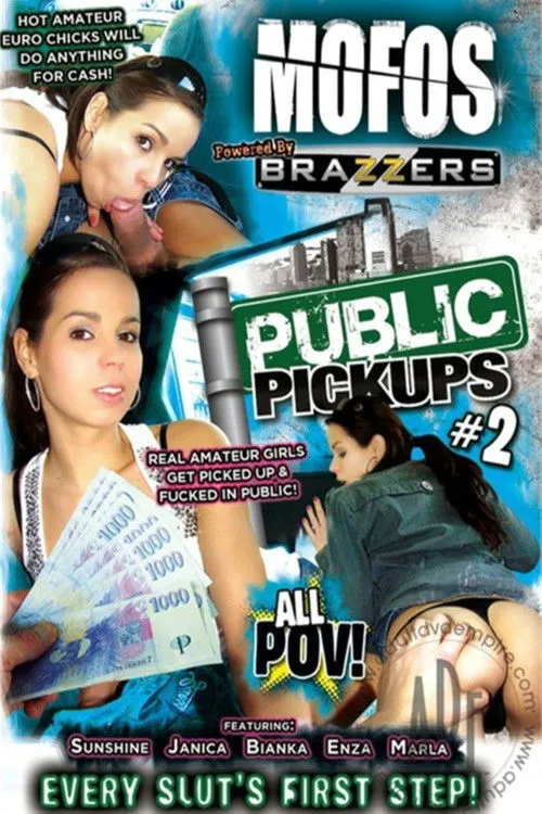 Póster de la película Public Pickups 2