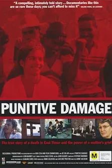 Póster de Punitive Damage