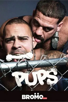 Póster de Pups