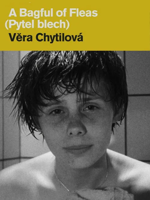 Póster de la película Pytel blech