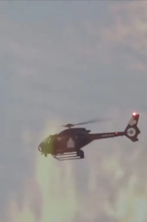 chrussy interpreta a en QUARANTINE CH****Y