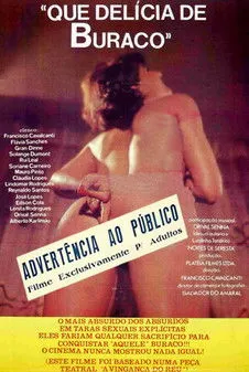 Póster de la película Que Delícia de Buraco