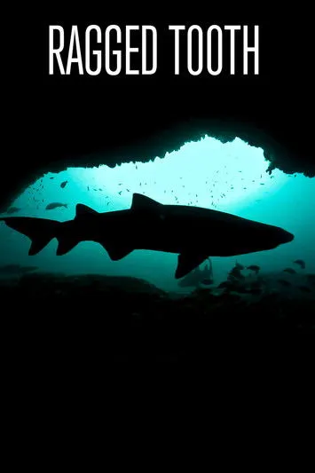 Póster de la película Ragged Tooth