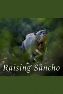 Robert Bathurst interpreta a Narrator en Raising Sancho