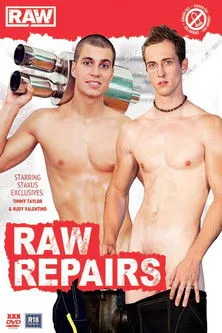 Póster de Raw Repairs