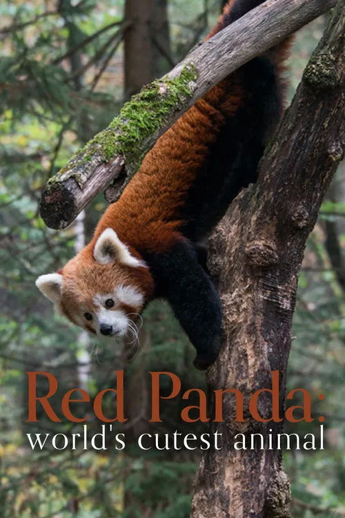 Paterson Joseph interpreta a Narrator en Red Panda: World's Cutest Animal