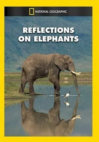 Póster de la película Reflections on Elephants