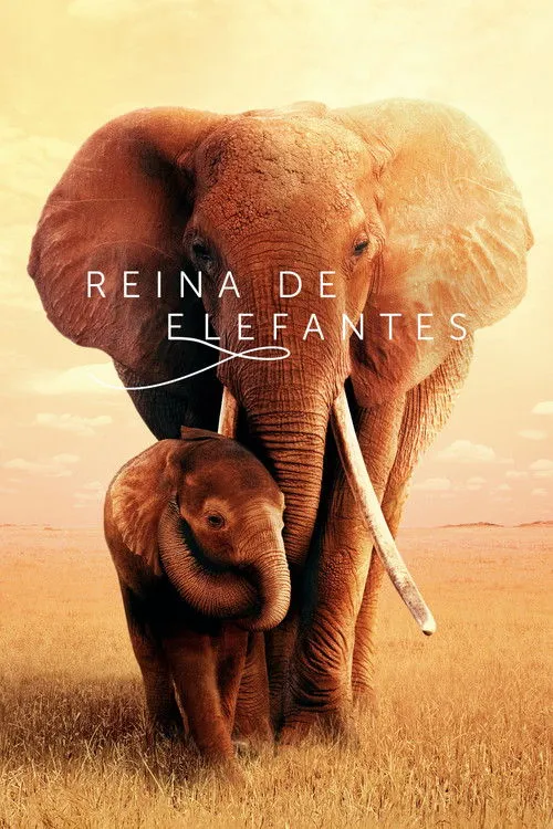 Póster de Reina de elefantes