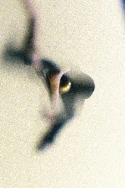 Tal Chatterjee interpreta a Renchik en Renchik