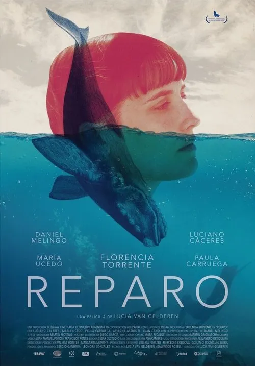 Póster de Reparo