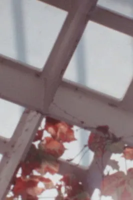 Sabrina Ramos interpreta a Self en Return To Forms