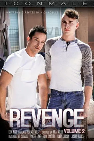 Póster de Revenge 2