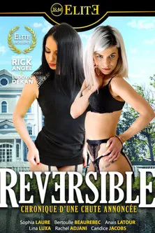 Póster de Reversible