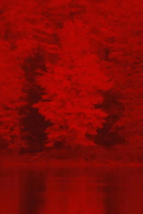 Oona Mosna interpreta a en Ride Like Lightning, Crash Like Thunder