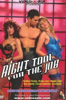 Póster de la película Right Tool For The Job