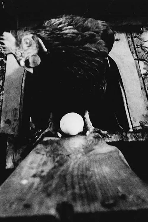 Raymond Vandersmissen interpreta a Man en Robokip