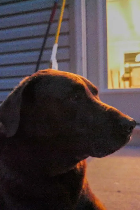 Jesse Raymond interpreta a Romeo en Romeo and Juliet parody