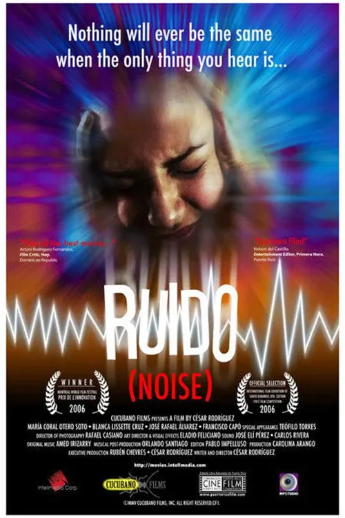 Póster de Ruído