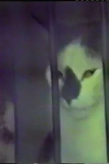 Jorge Semprún interpreta a Lui-même en Rush - Voyage à Moscou