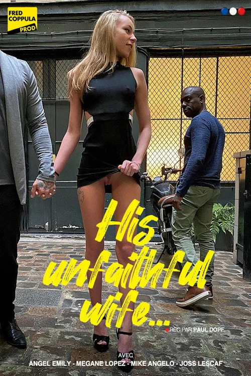 Póster de Sa femme infidèle