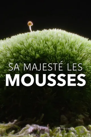 Portada de Sa Majesté les mousses