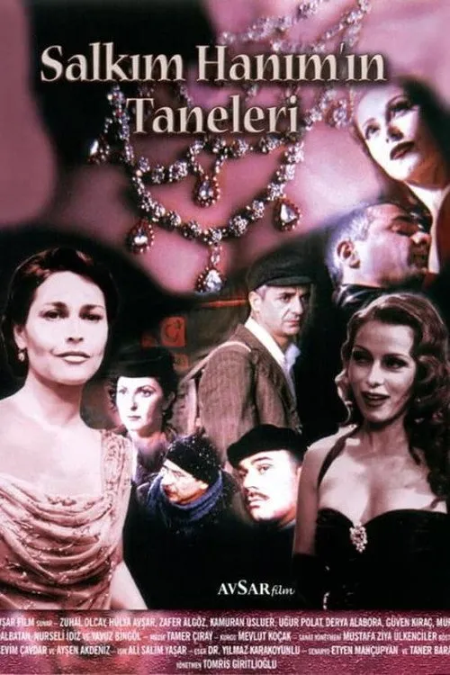 Póster de Salkım Hanım'ın Taneleri