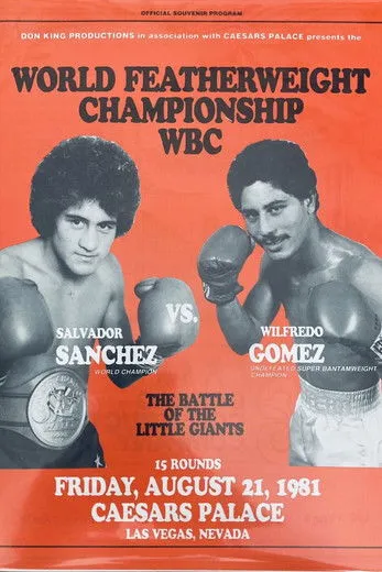 Salvador Sánchez interpreta a  en Salvador Sanchez vs. Wilfredo Gomez
