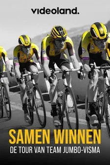 Póster de Samen Winnen