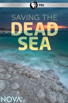 Hend Ayoub interpreta a en Saving the Dead Sea