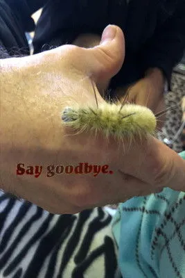 Rod McKuen interpreta a Narrator en Say Goodbye