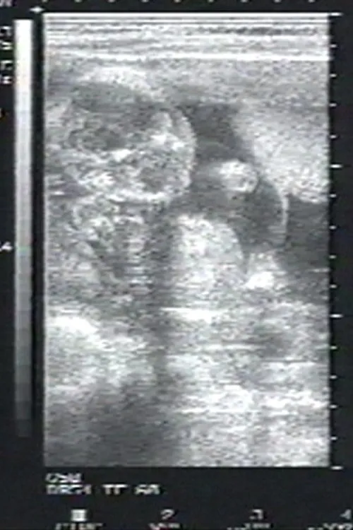 Cheri Gaulke interpreta a Self en Sea of Time