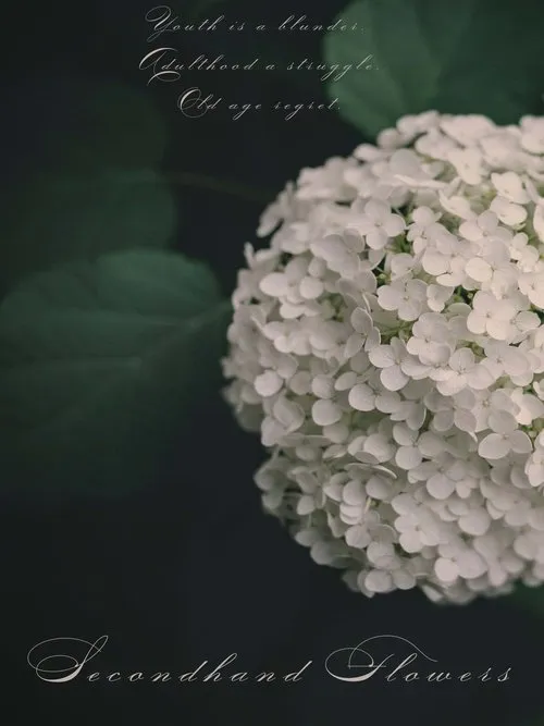 David McGuff interpreta a Grieving Man en Secondhand Flowers