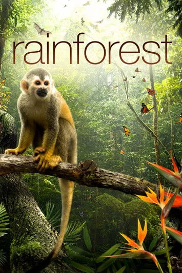 Póster de la película Secret Life of the Rainforest
